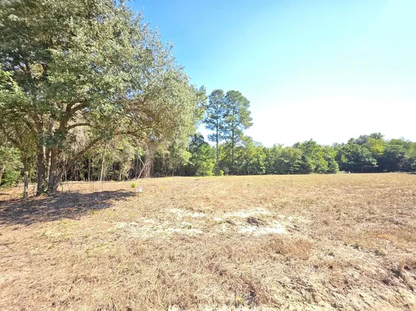 6 Joseph Lemon And Dingle Rd, Manning, SC 29102