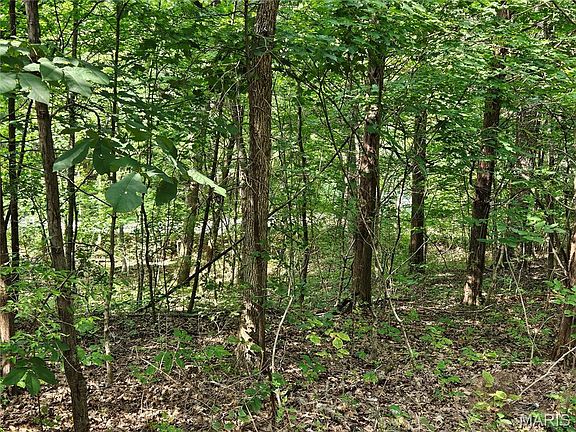 4th image of 9468 Bent Tree Dr