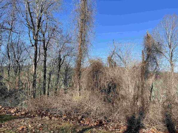 39417 Glenn Glade #810, Chapel Hill, NC 27517