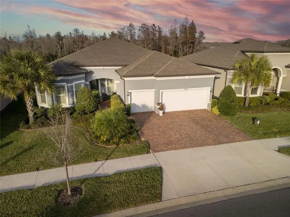 19267 Ship Wheel Way, Land O Lakes, FL 34638