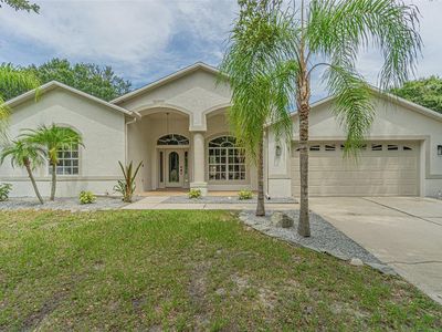 9204 Grand Palm Ct, Riverview, FL, 33578