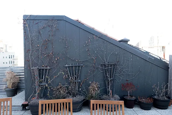 Rented by Susan Penzner Real Estate | media 29