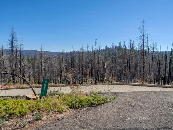 4861 Mount Pleasant Dr, Grizzly Flats, CA 95636