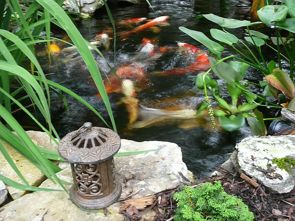 Beautiful Landscaping