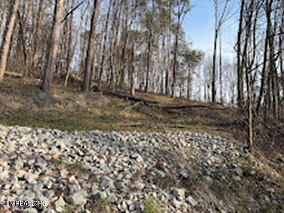 3rd image of 11044 Loop Rd