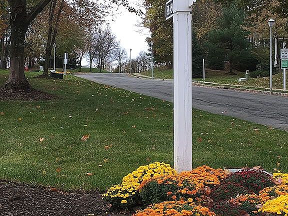 Beautiful landscaping 