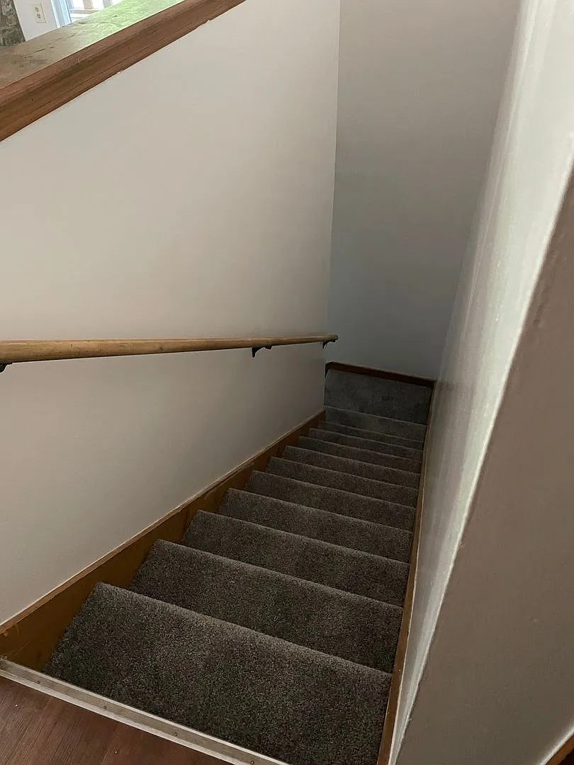 Puma Duplex — Photo 4