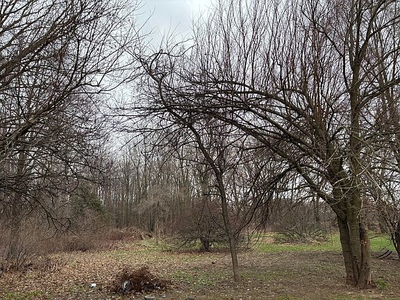 3rd image of 17932 Indian Prairie Rd