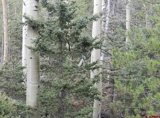 2769 Purnell Ln, Fort Garland, CO 81133