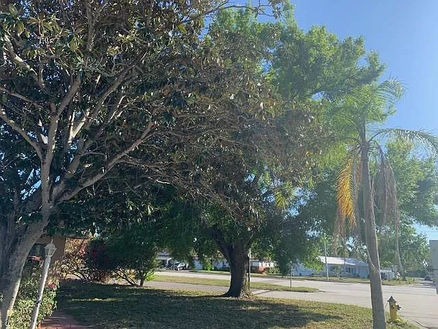 2 bed, 1.0 bath, $1,900 — Photo 3