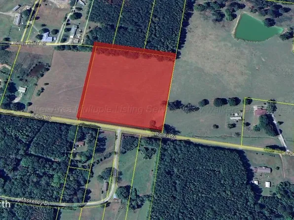 0 Ripley Rd, Carbon Hill, AL 35549