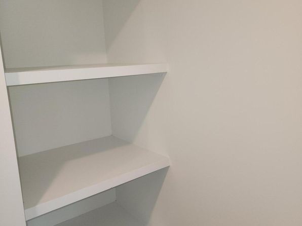 charleston-south-carolina-441874038 picture