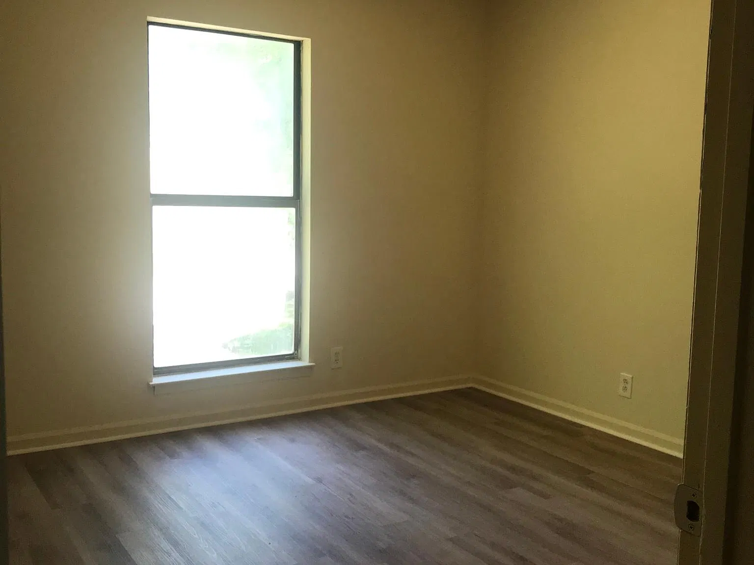 2 bed, 1.5 bath, 980 sqft, $1,290 — Photo 3