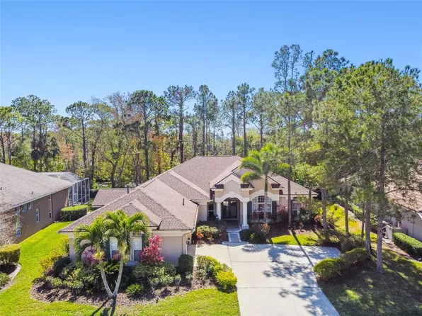 10563 Greensprings Dr, Tampa, FL 33626