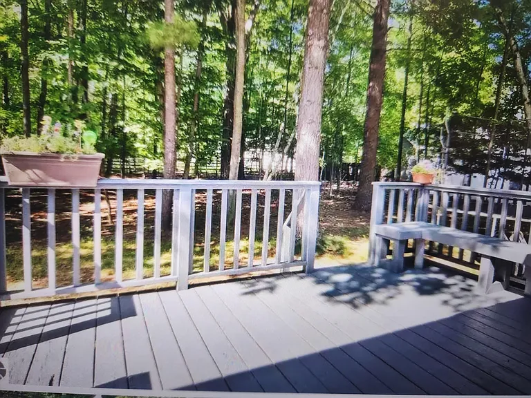 large wooded rear yard