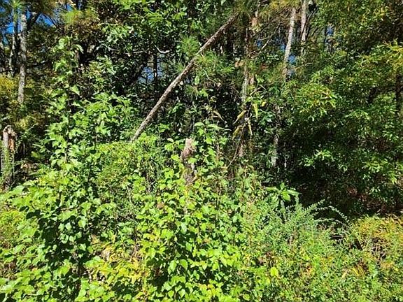 4th image of 0 Scarlett Ln NE