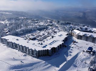 219 Mountain Ldg, Snowshoe, WV 26209