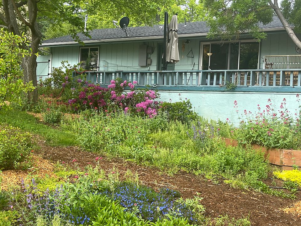 House from Backyard