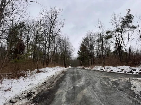 102 Beech Hill Rd Lot 10, Newfield, NY 14867