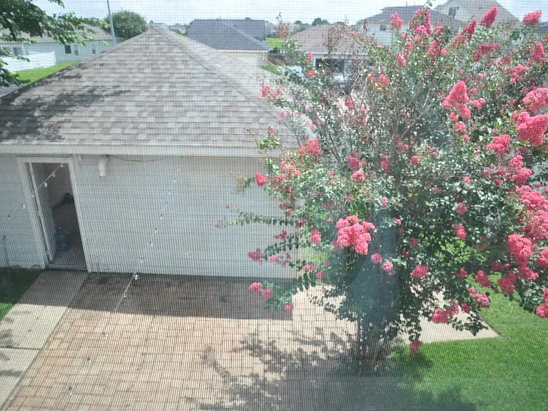 20734 Settlers Lake Cir N — Photo 30
