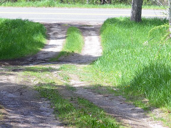 Entry Driveway
