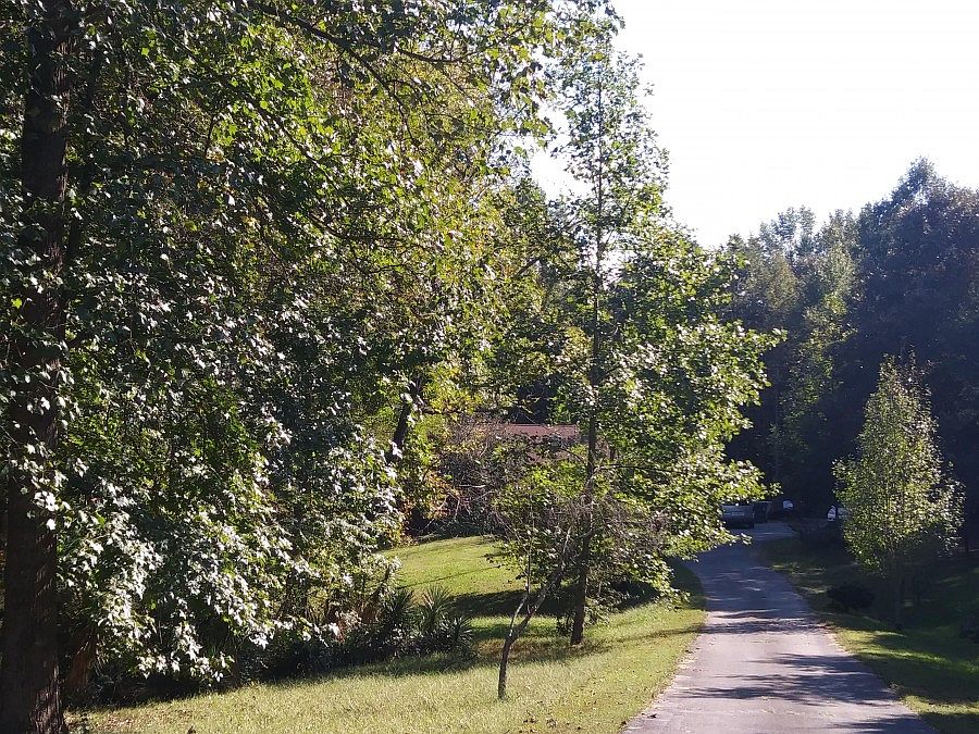 2nd image of 950 Ebenezer Rd
