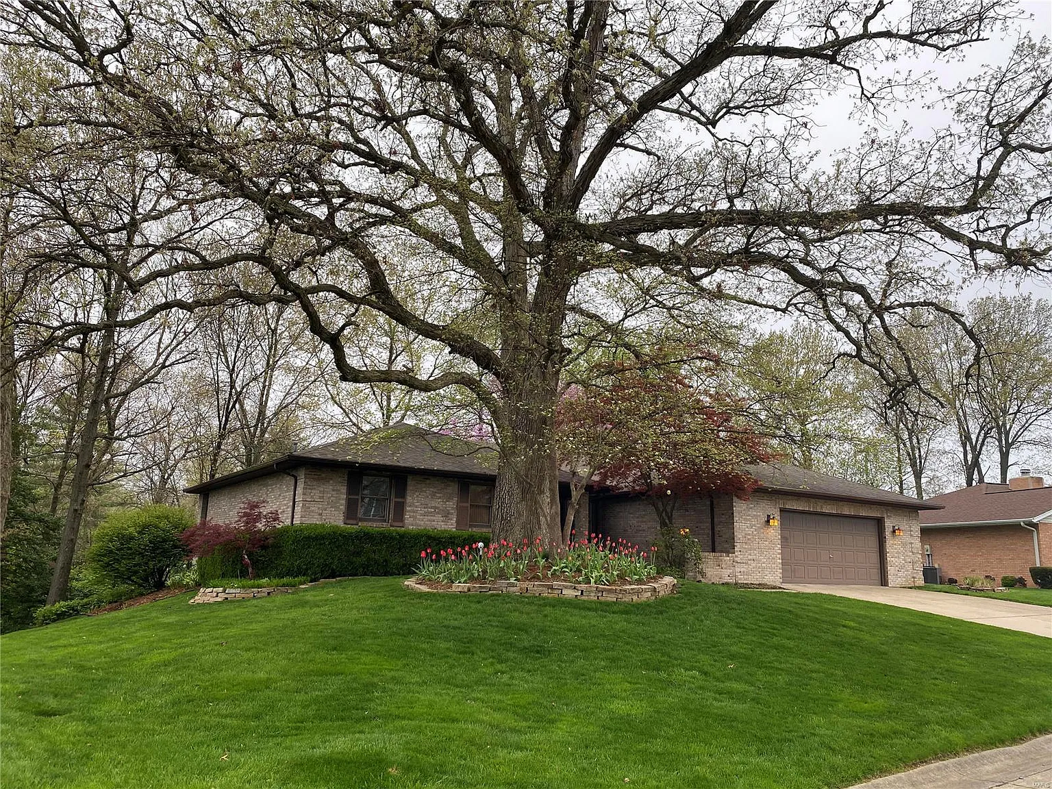 164 Pine Dale Dr photo 1