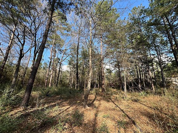 4th image of 3-17 3b Winchester Rd