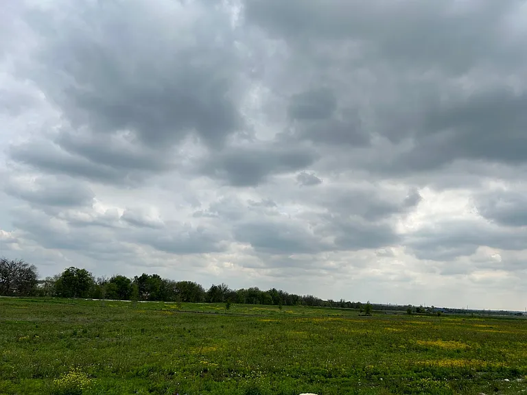 Green belt