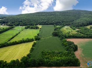 20 Hurricane Rd, New Market, AL 35761