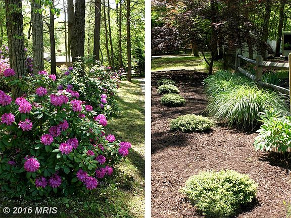 Cultivated Plantings with Seasonal Bursts of Color