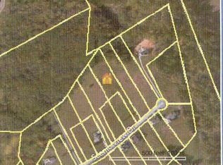 217 Scenic View Dr, TALBOTT, TN 37877