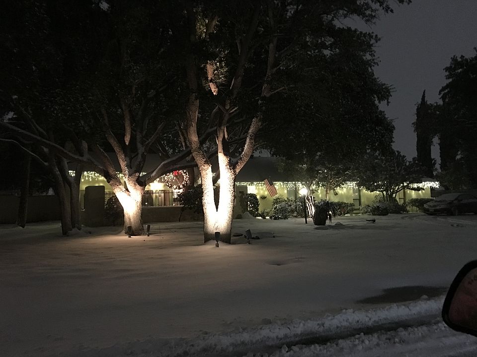 Street view in the snow