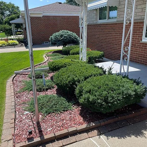 32827 Dover Ave — Photo 61