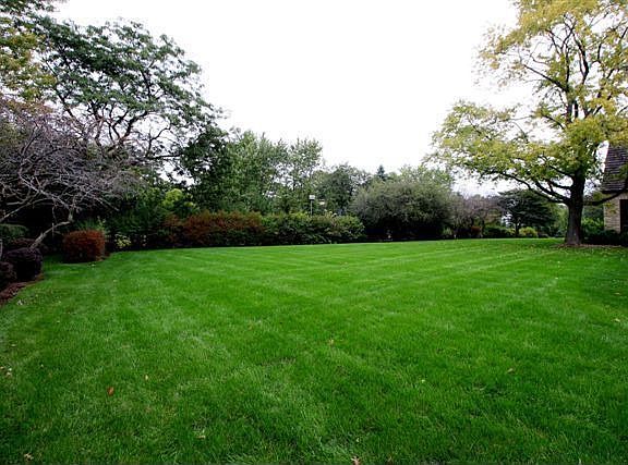 FABULOUS YARD VIEWS!