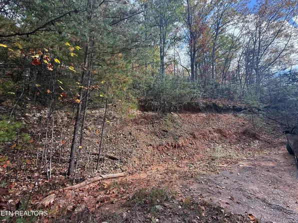 141 Green Forest Rd, Cosby, TN 37722
