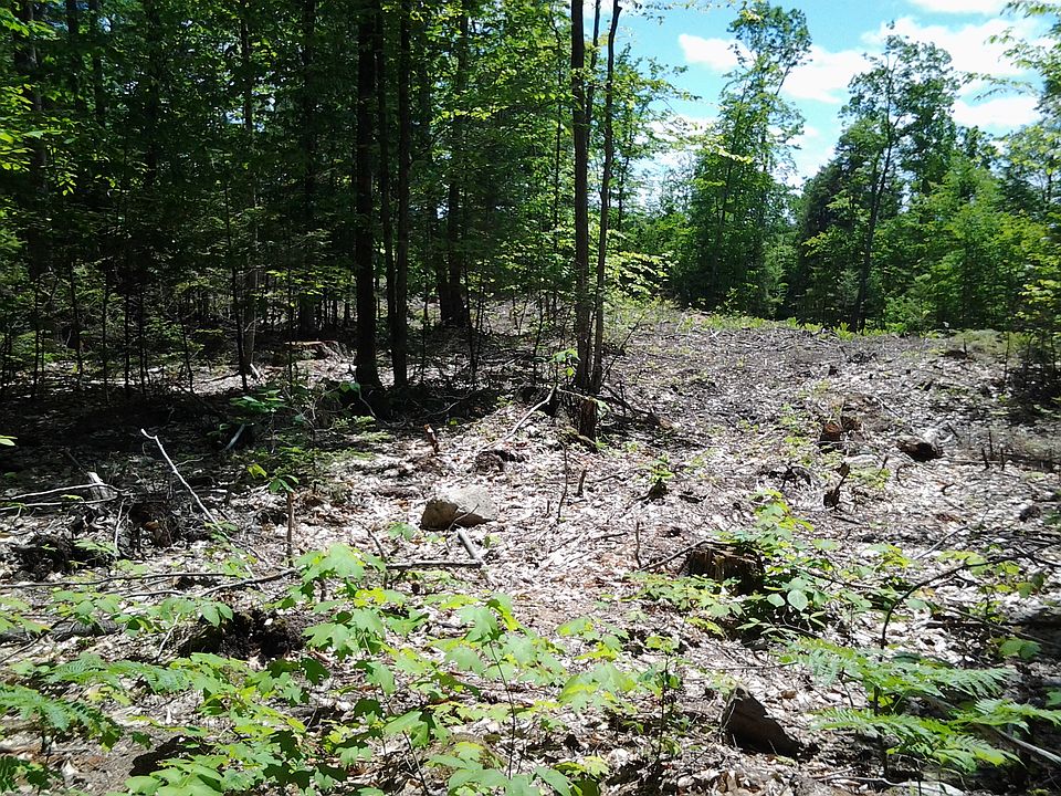 2nd image of Two-acre Surveyed Building Lot #Tripptown