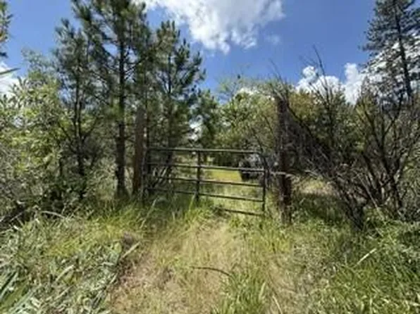 Feather Ridge Way, Berry Creek, CA 95916