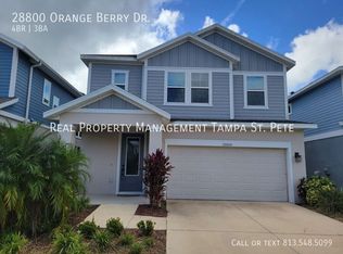 28800 Orange Berry Dr, Wesley Chapel, FL 33543