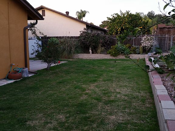 Back yard