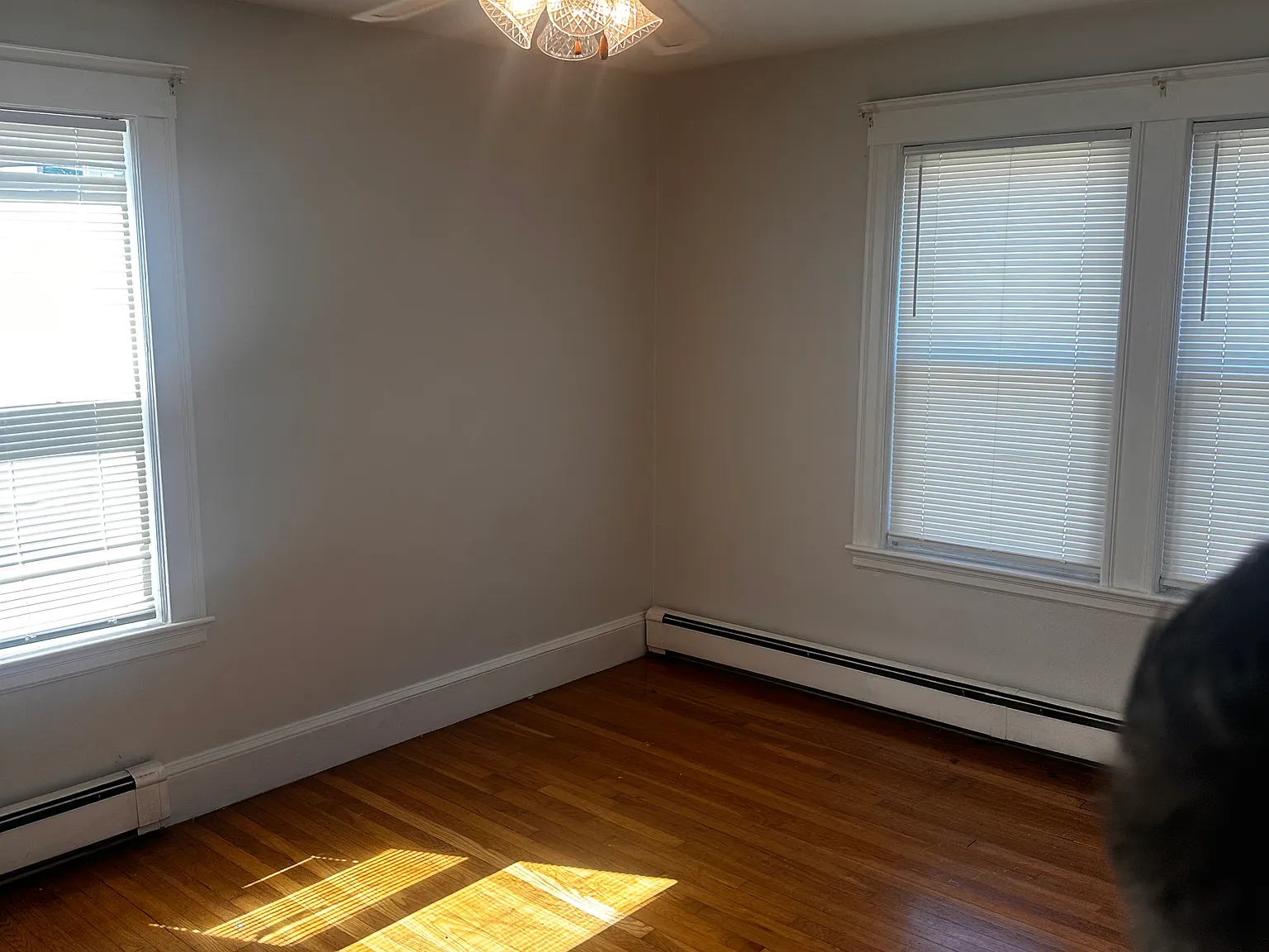 1 bed, $2,100 — Photo 3