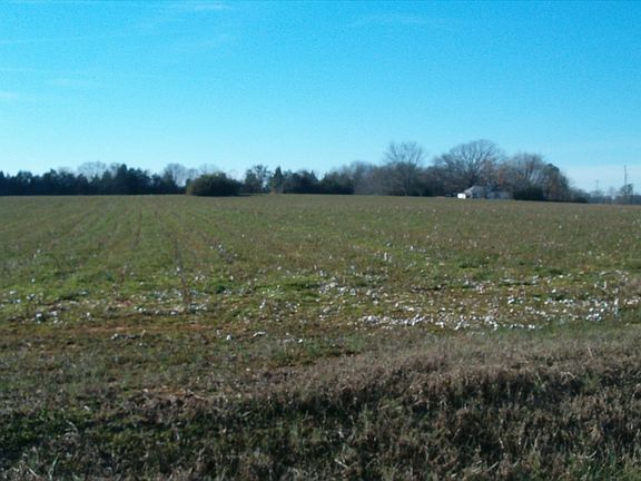 Home of 2007 Cotton Crop