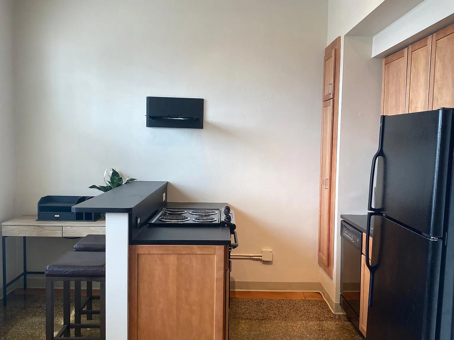 1 bed, 450 sqft, $1,025 — Photo 3