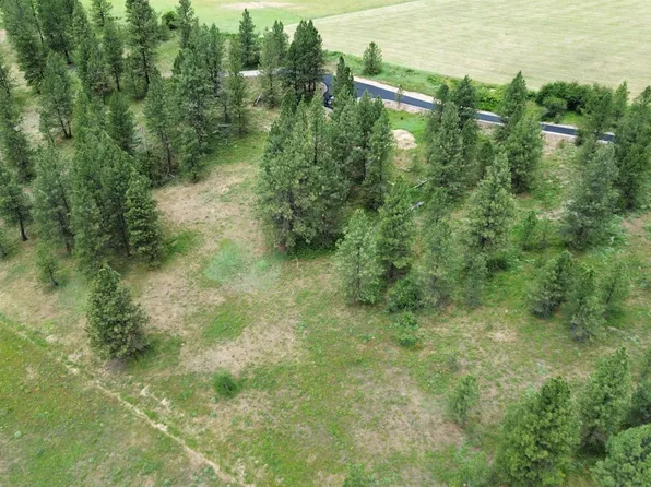3086 E Balsam Hill Ln, Valleyford, WA 99036