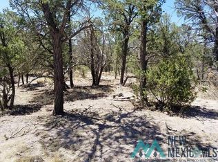 Highway 59, Winston, NM 87943