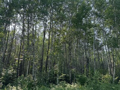 80 Willow Creek Rd NE, Kelliher, MN, 56650