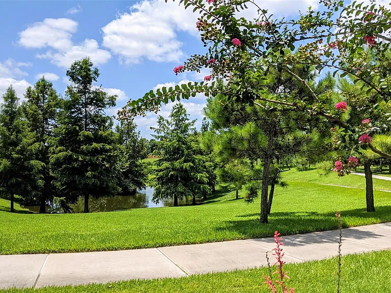 10114 Crescent Bluff Ln — Photo 43