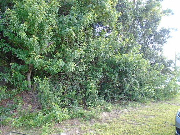 2nd image of 1929 SW Michelangelo Ave