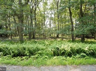 123 & 124 Broad Mountain View Dr, Jim Thorpe, PA 18229