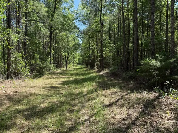 Damascushilton Rd, Blakely, GA 39823
